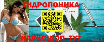 2c-b Кинель